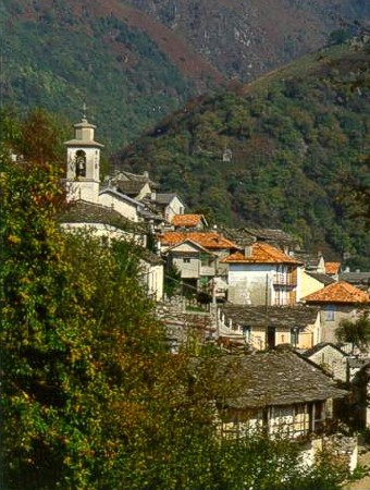 Cicogna