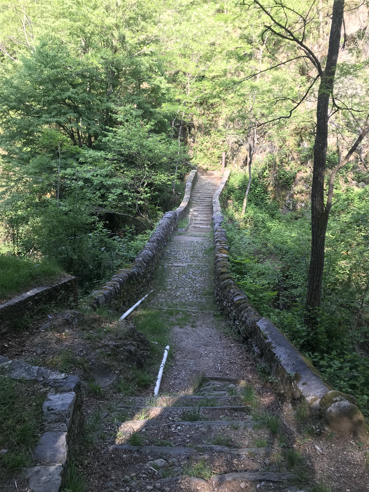 Ponte Romano
